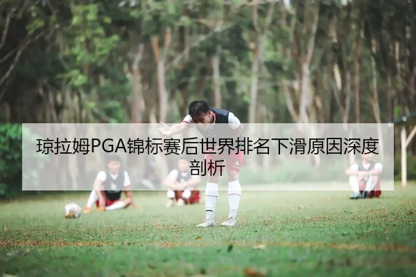 琼拉姆PGA锦标赛后世界排名下滑原因深度剖析